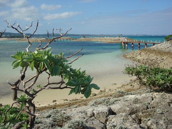 サンマリーナの敷地内の海