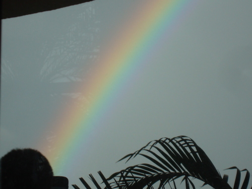 テラスから見た早朝の虹