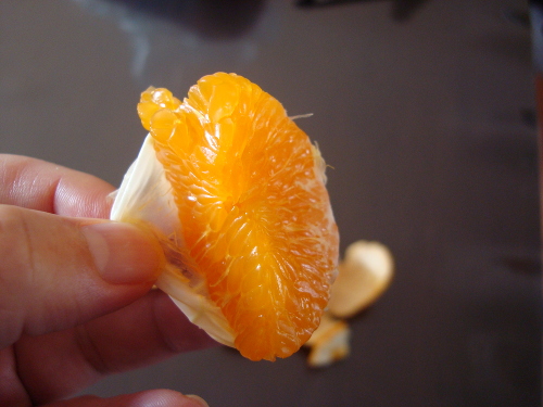 Satsuma Mandarin Orange