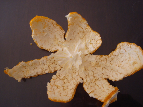 Satsuma Mandarin Orange