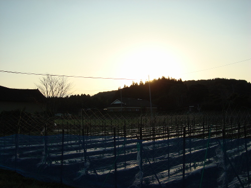 Color of Twilight Sky