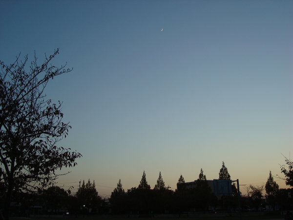 Bright color of the sunset