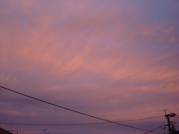 Bright color of the sunset