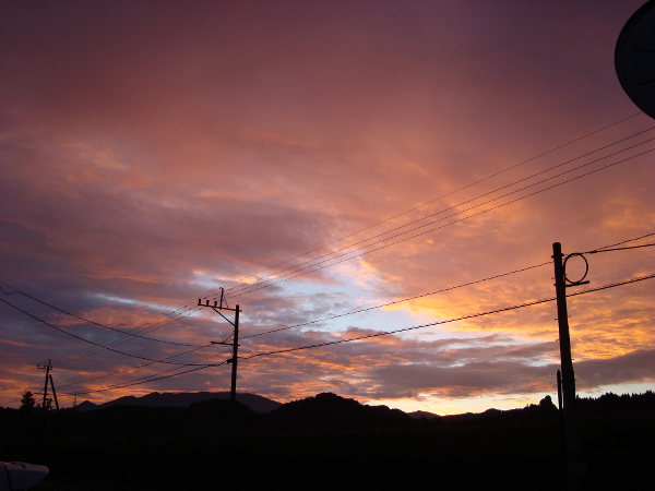 Bright color of the sunset