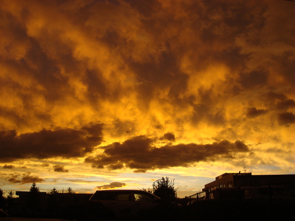 Bright color of the sunset