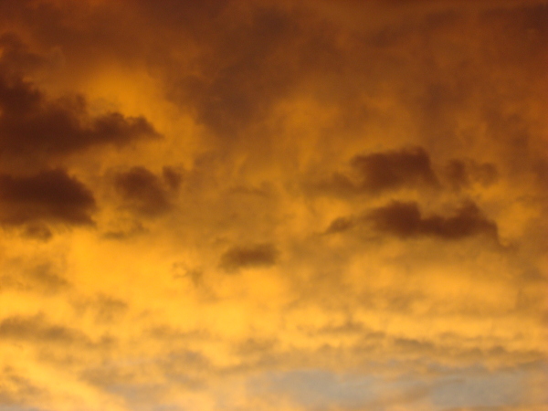 Bright color of the sunset