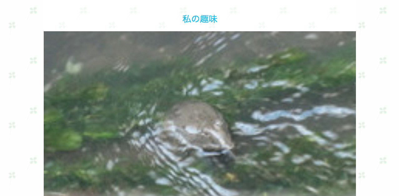 テンプレート12