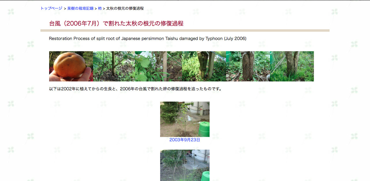 テンプレート24