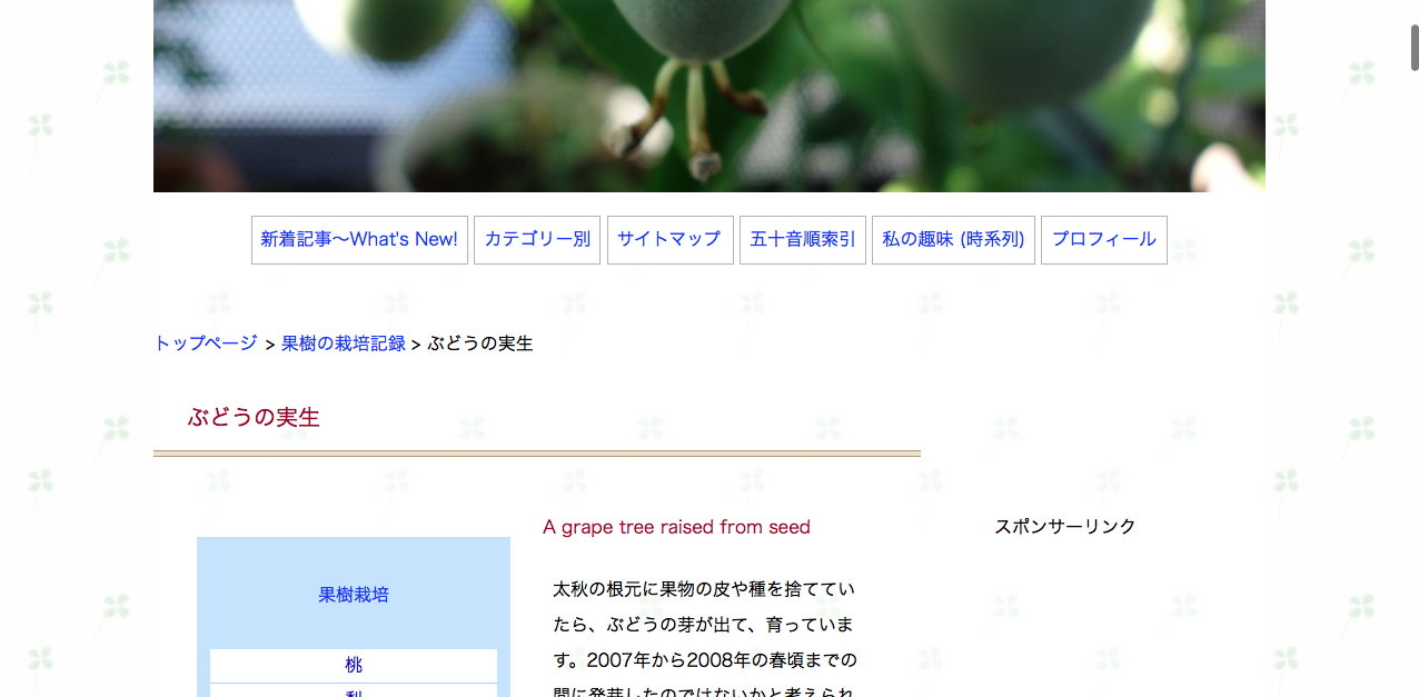 テンプレート23