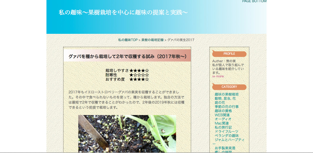 テンプレート20