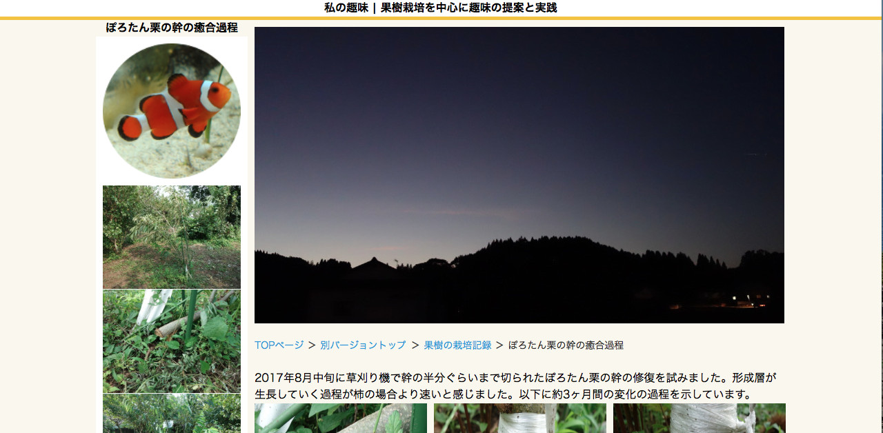 テンプレート25