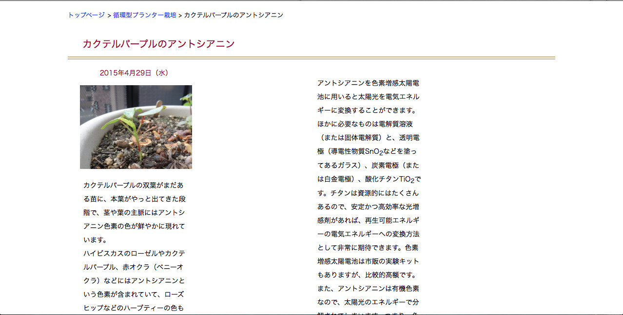 テンプレート21