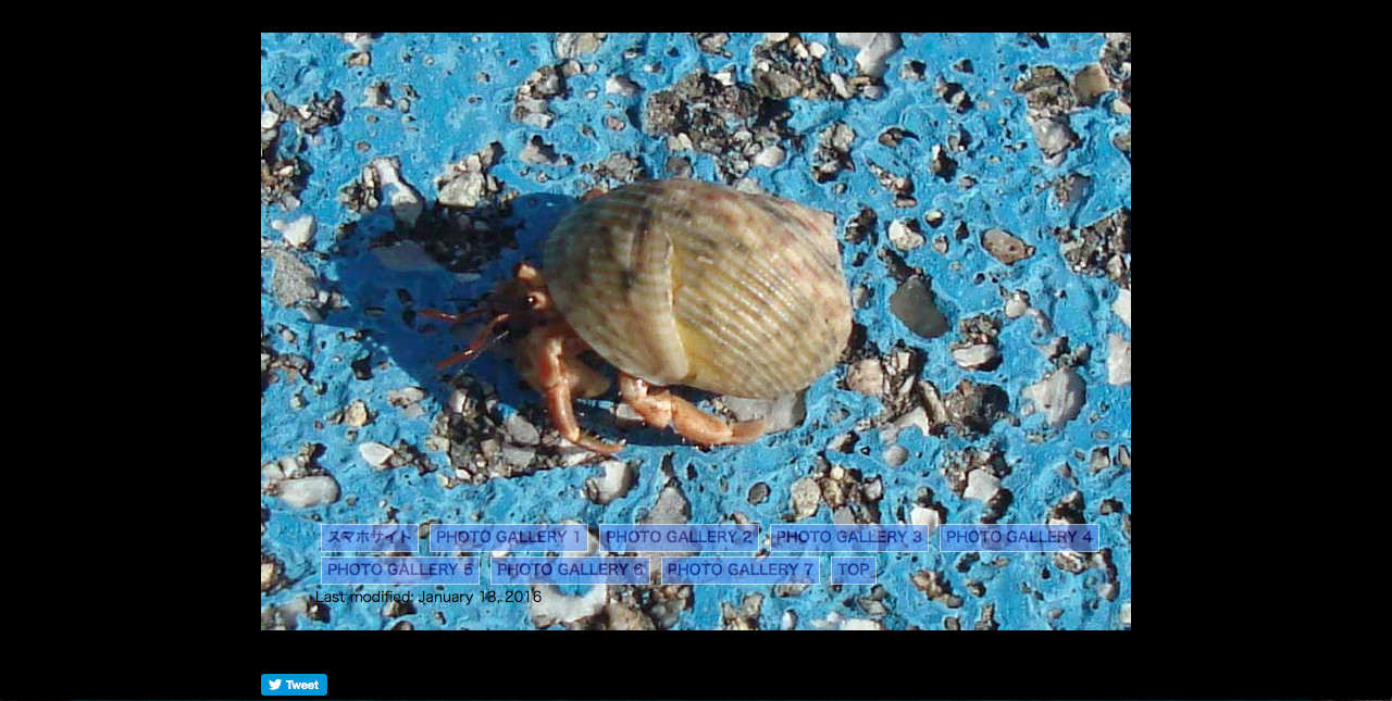 テンプレート43