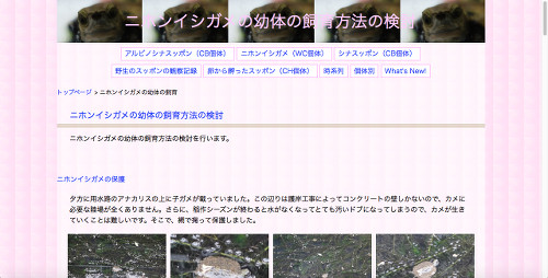 テンプレート31