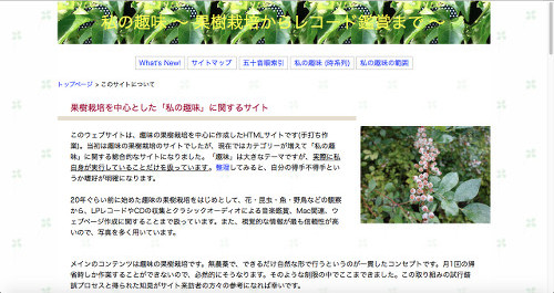 テンプレート33